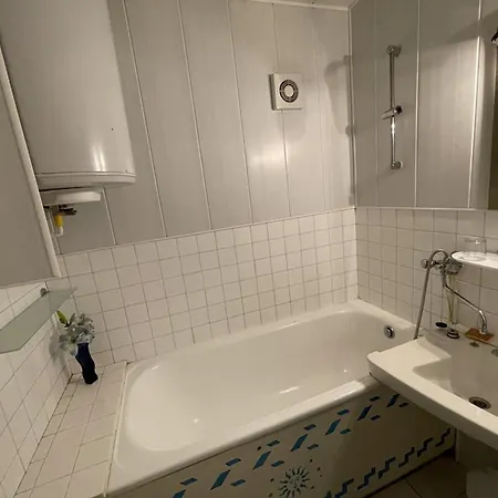 Avec Balcon En Centre Station, Wifi Et Animaux Admis - Fr-1-787-60 Apartament Laveissière